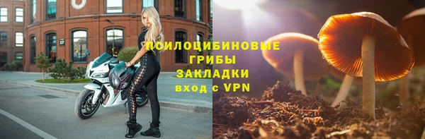 ГАЛЛЮЦИНОГЕННЫЕ ГРИБЫ Абдулино