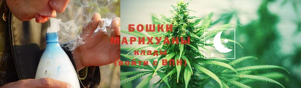 ГАЛЛЮЦИНОГЕННЫЕ ГРИБЫ Абдулино