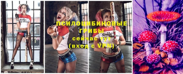 ГАЛЛЮЦИНОГЕННЫЕ ГРИБЫ Абдулино