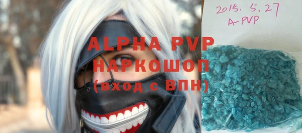 гашик Абаза