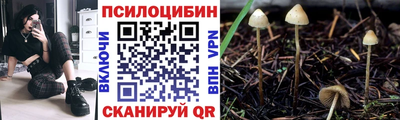 закладка Томилино Галлюциногенные грибы Cubensis