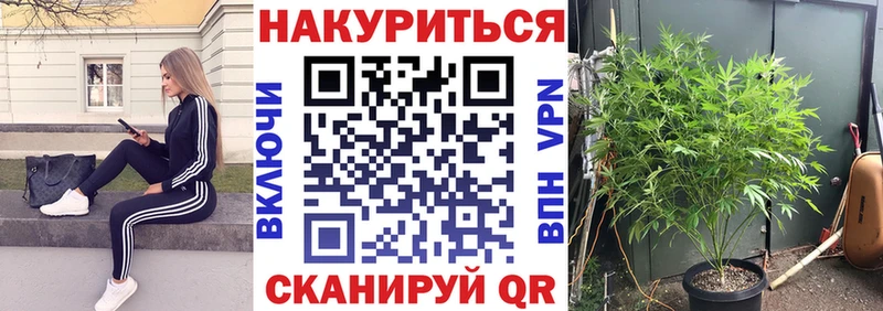 Бошки Шишки MAZAR  закладка  Томилино 